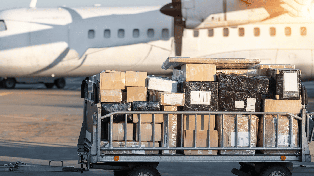 Selim Parça Yük Taşıma