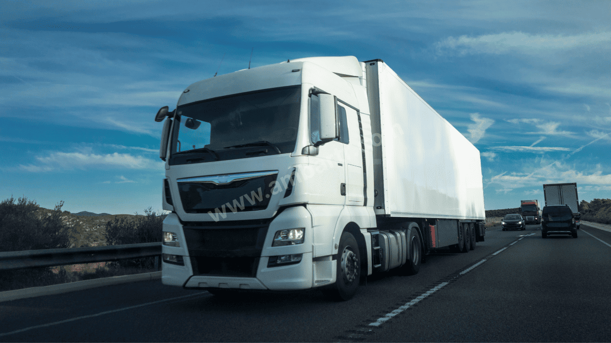 Selim Şehirler Arası Taşıma